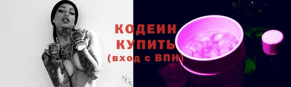 крисы Куйбышев