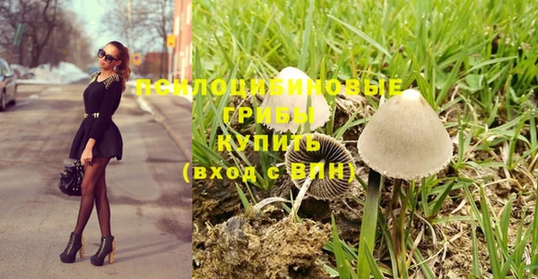 мескалин Ладушкин
