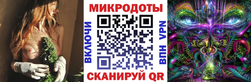 Купить  Няндома  Галлюциногенные грибы Psilocybine cubensis 